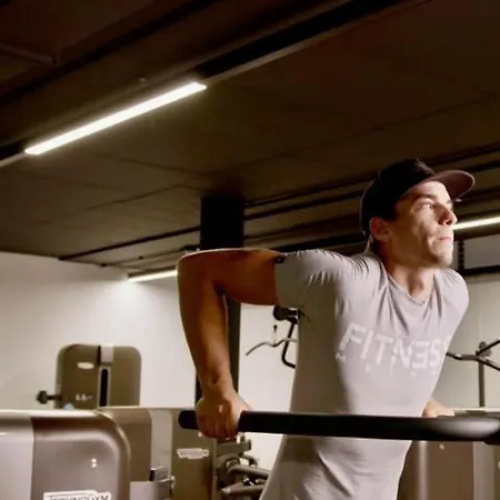 Business Maier Гётцис