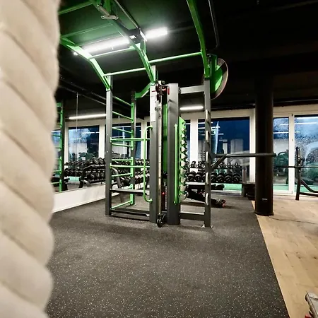 Business Maier Гётцис