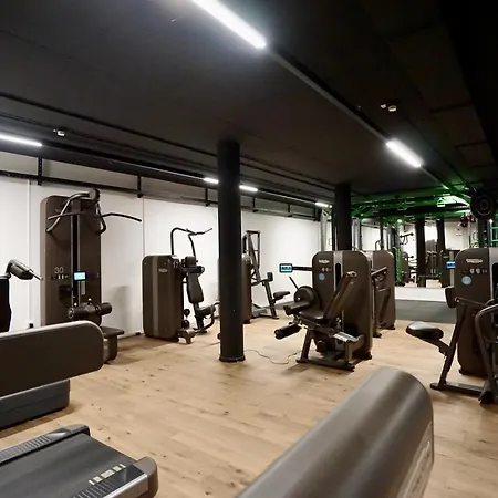 Business Maier 호텔