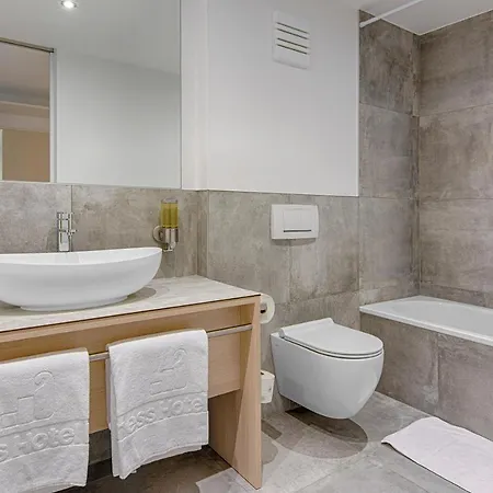 호텔 Business Maier 거치즈