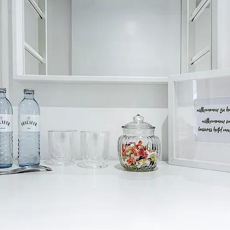 호텔 Business Maier 3*