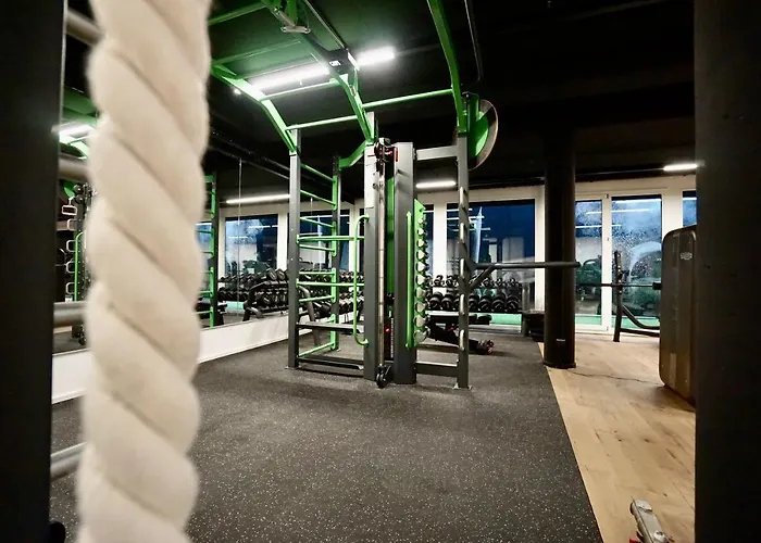 Business Maier Гётцис