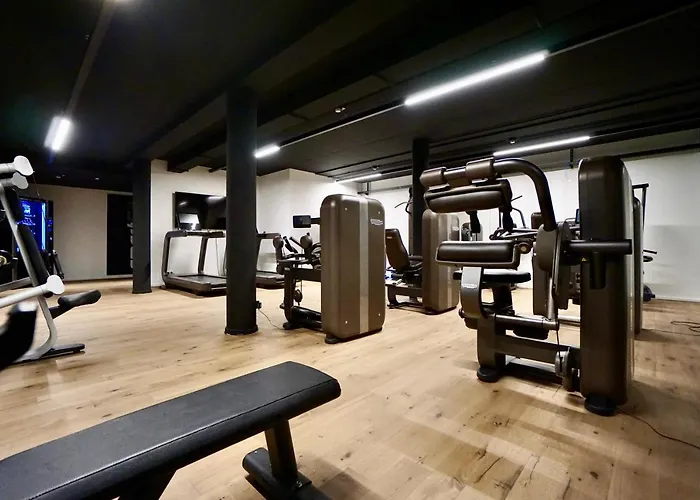 Business Maier - Kontaktloser Check-in 3* Götzis